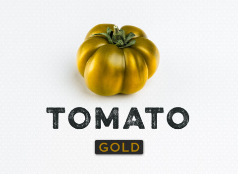 Tomato-Gold