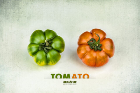 Zwei Tomaten von oben