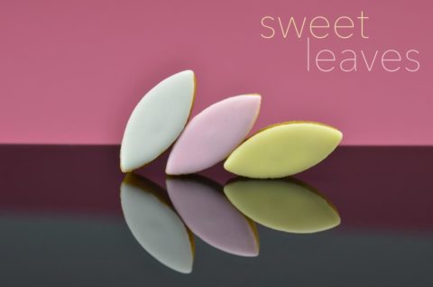 CupCakes_Fotoshooting_180