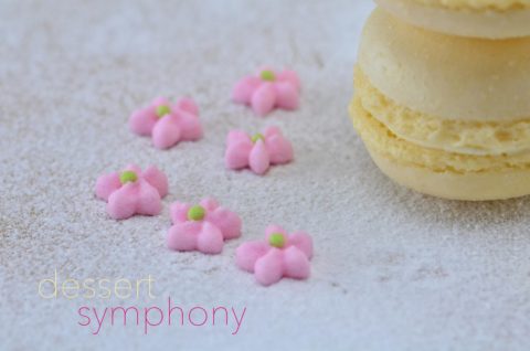 CupCakes_Fotoshooting_19