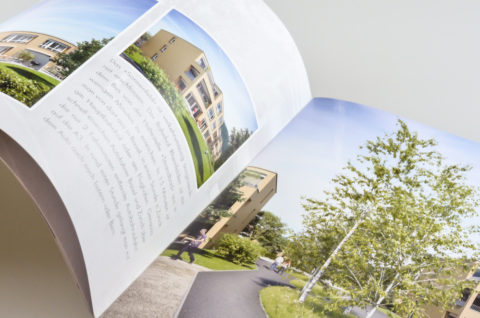 Sonnenfeld Beschrieb mit 3D-Visus