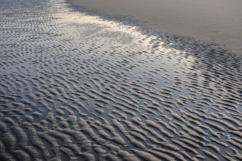 De Haan Ebbe am Strand 2