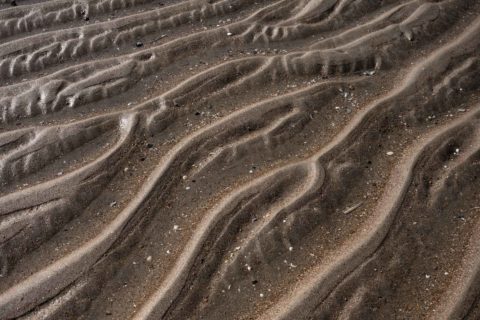 De Haan Strand Ebbe