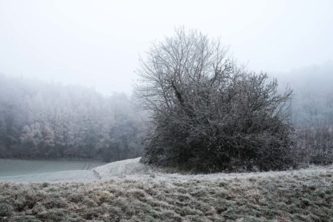 Landschaft-im-Winter