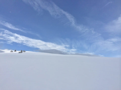 Snowtrail