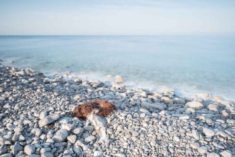 Ibiza Cap des Falco direkt am Strand